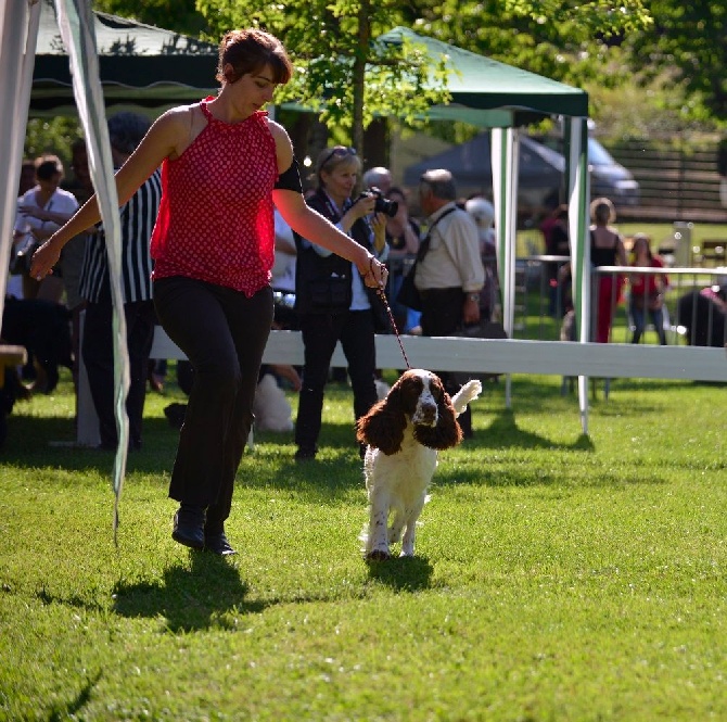 Of Five O'clock - Libourne 2014